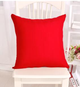 Cushion Pillow